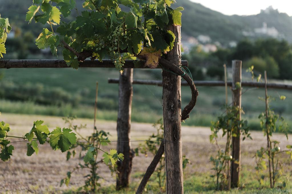 Relais Casale Valigi Villa Narni Eksteriør billede